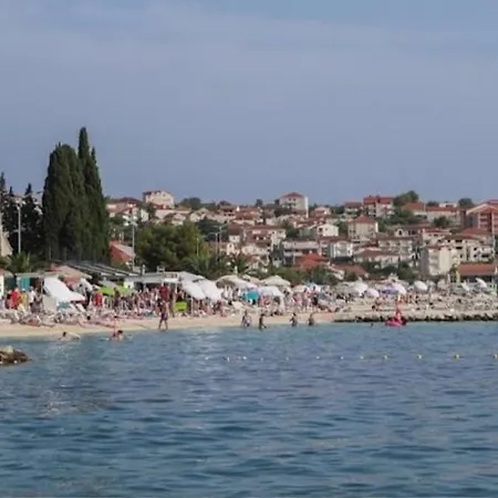 Leki Ciovo *
